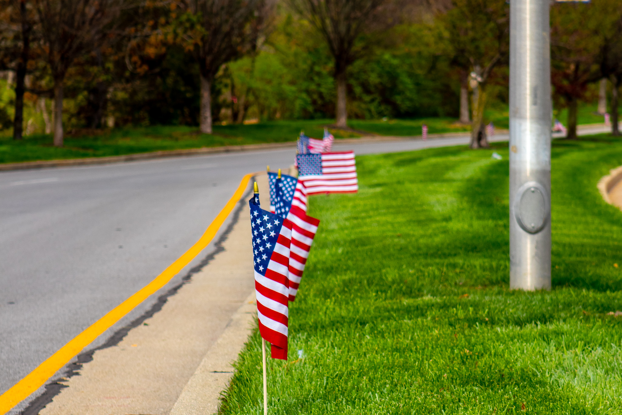 American flags line the side of a road